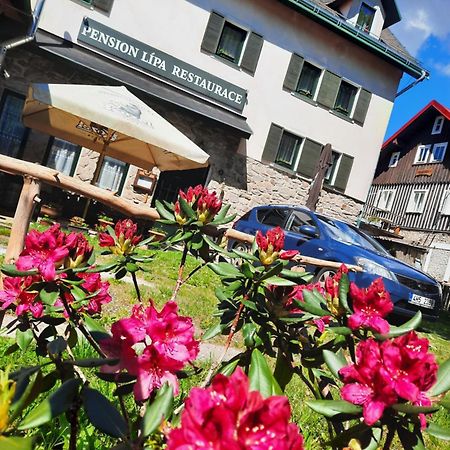Pension Lipa Horní Maršov Exterior foto